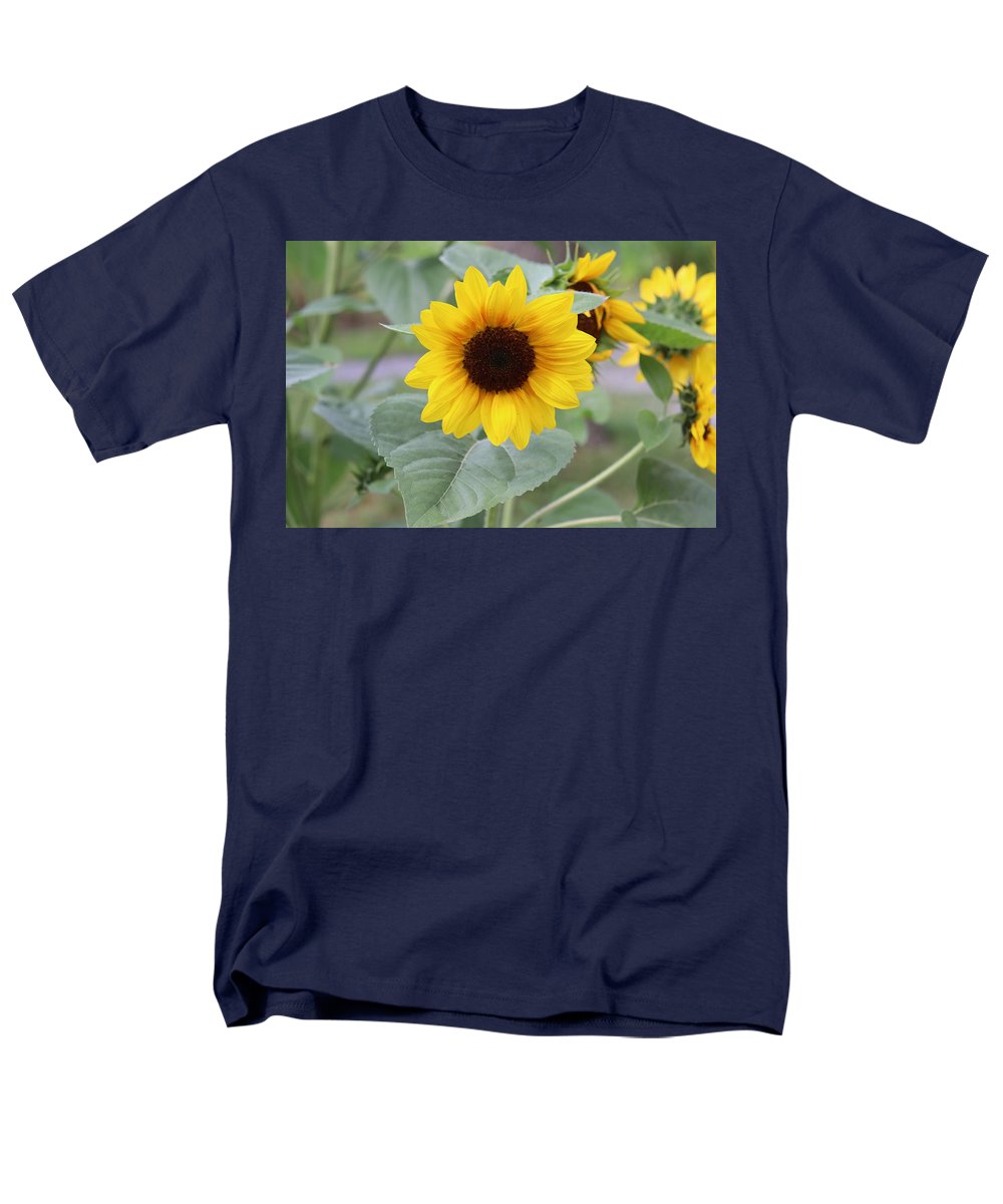 Sunflower Glory - Men's T-Shirt  (Regular Fit) - Customizable