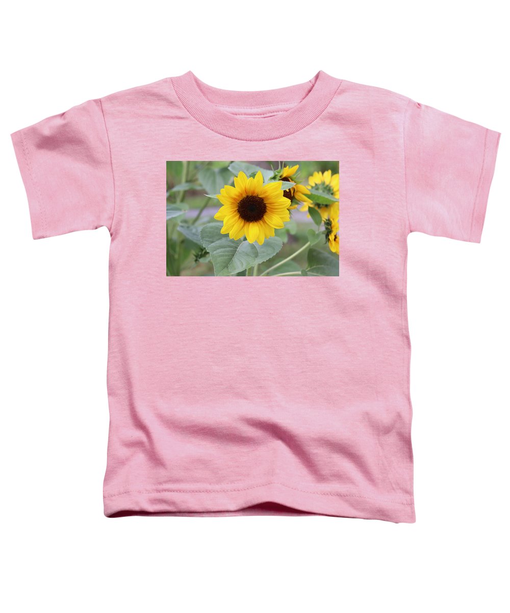 Sunflower Glory - Toddler T-Shirt - Customizable