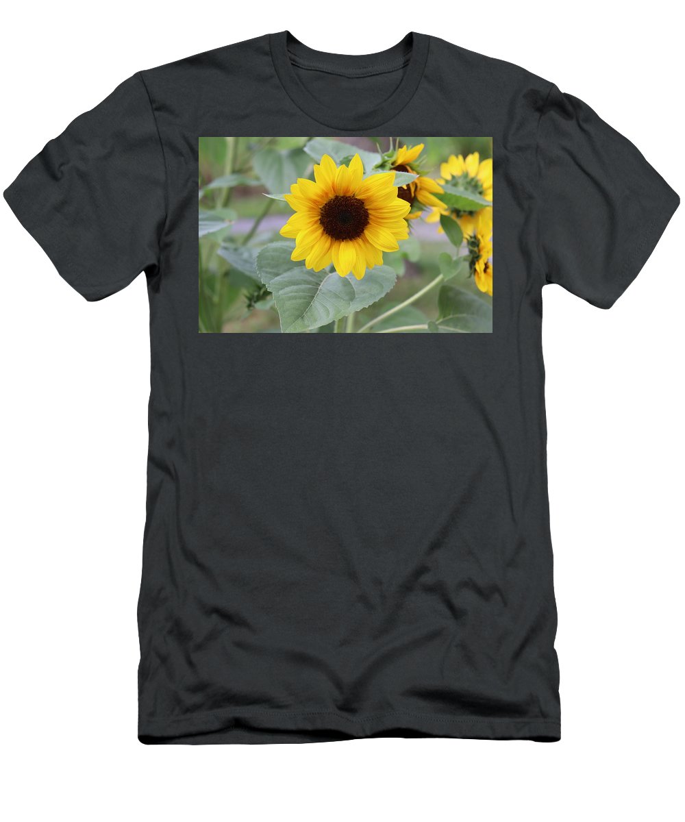 Sunflower Glory - T-Shirt - Customizable