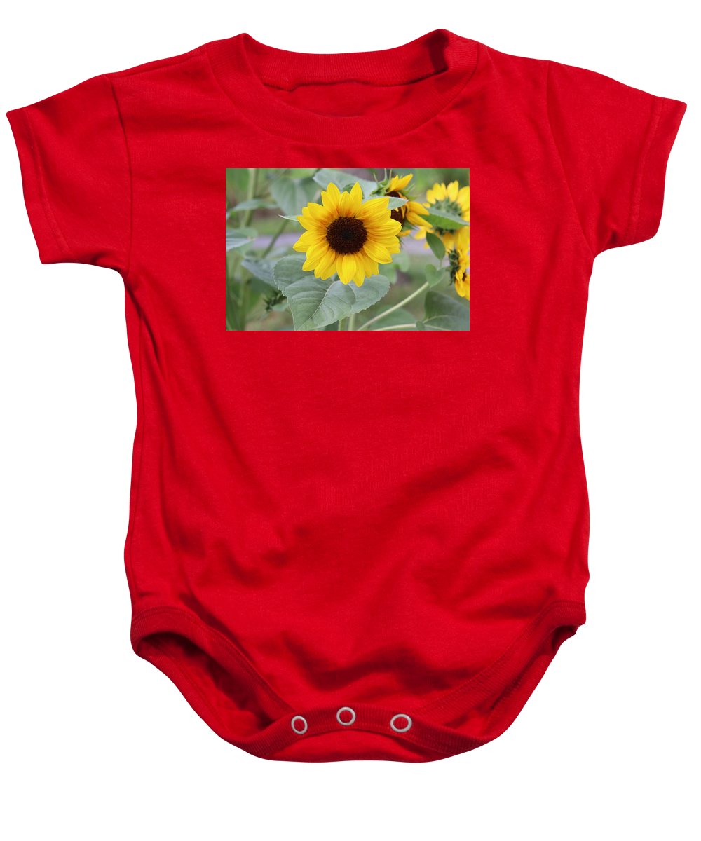 Sunflower Glory - Baby Onesie - Customizable