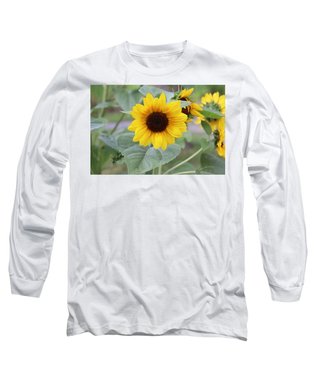 Sunflower Glory - Long Sleeve T-Shirt - Customizable