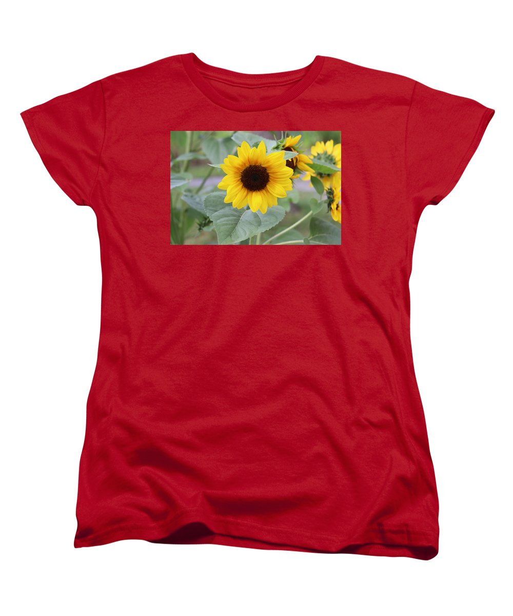 Sunflower Glory - Women's T-Shirt (Standard Fit) - Customizable