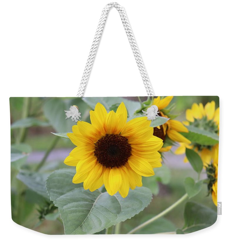 Sunflower Glory - Weekender Tote Bag - Customizable