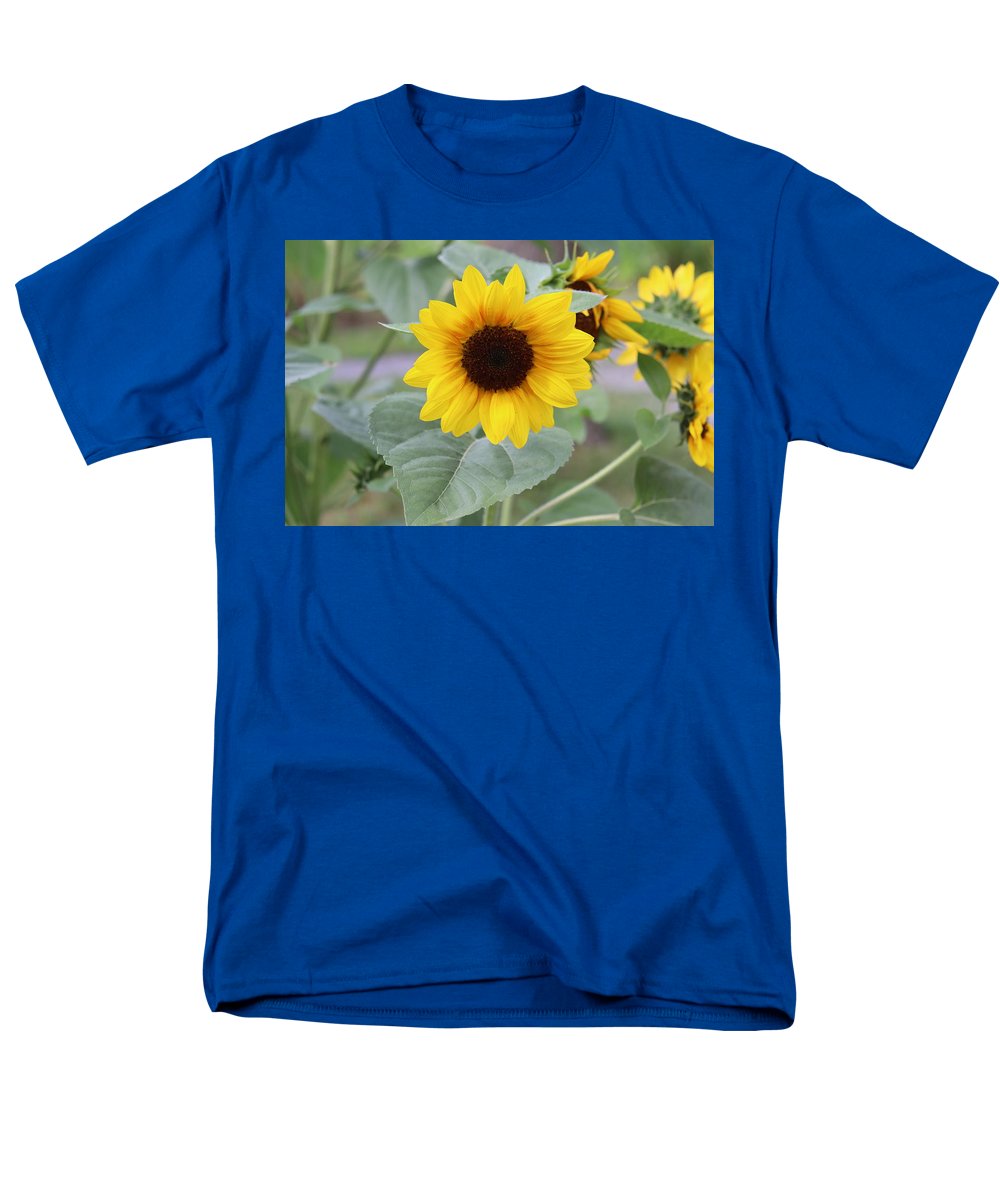 Sunflower Glory - Men's T-Shirt  (Regular Fit) - Customizable