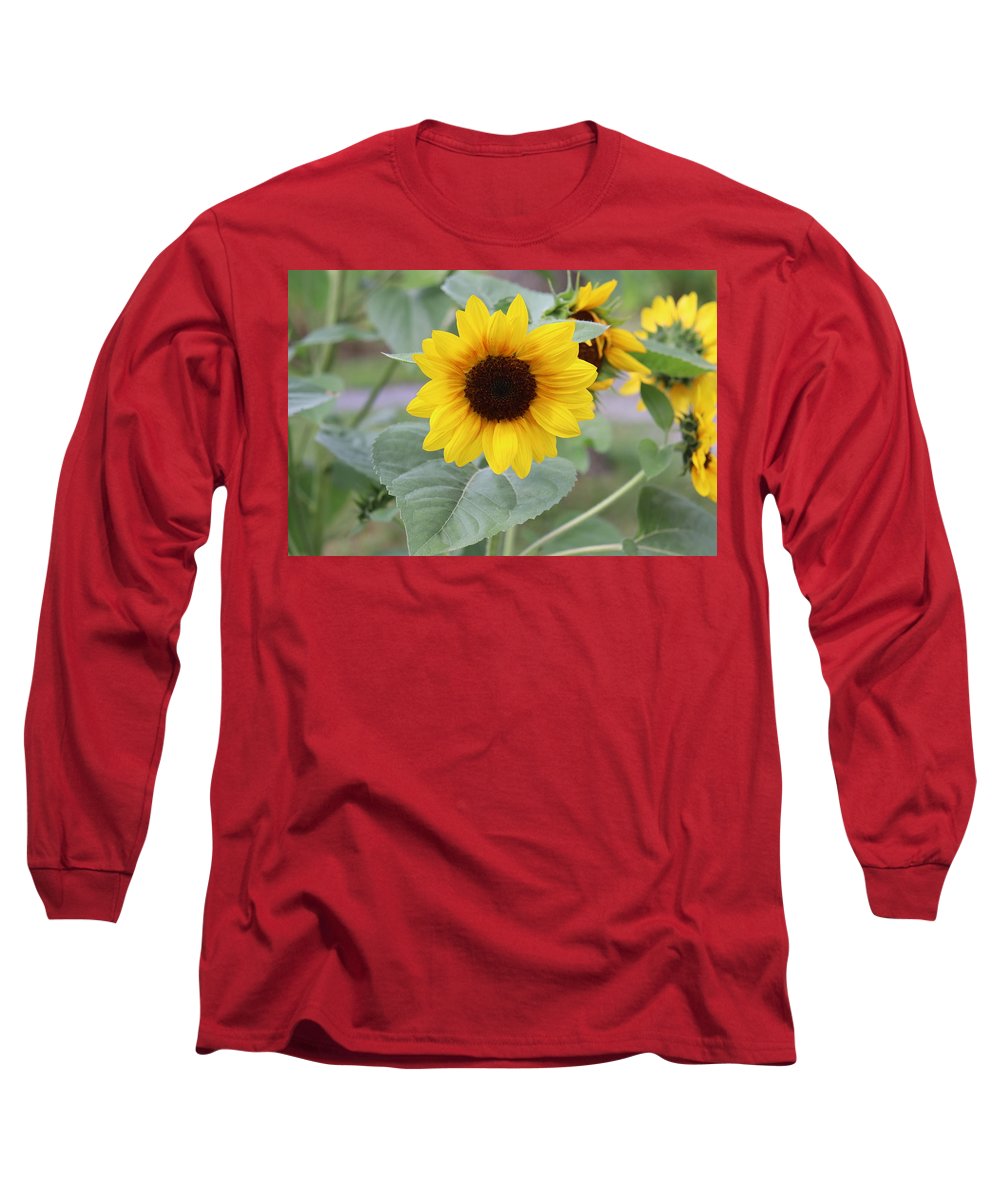 Sunflower Glory - Long Sleeve T-Shirt - Customizable