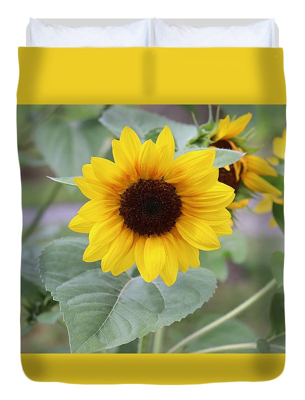 Sunflower Glory - Duvet Cover - Customizable