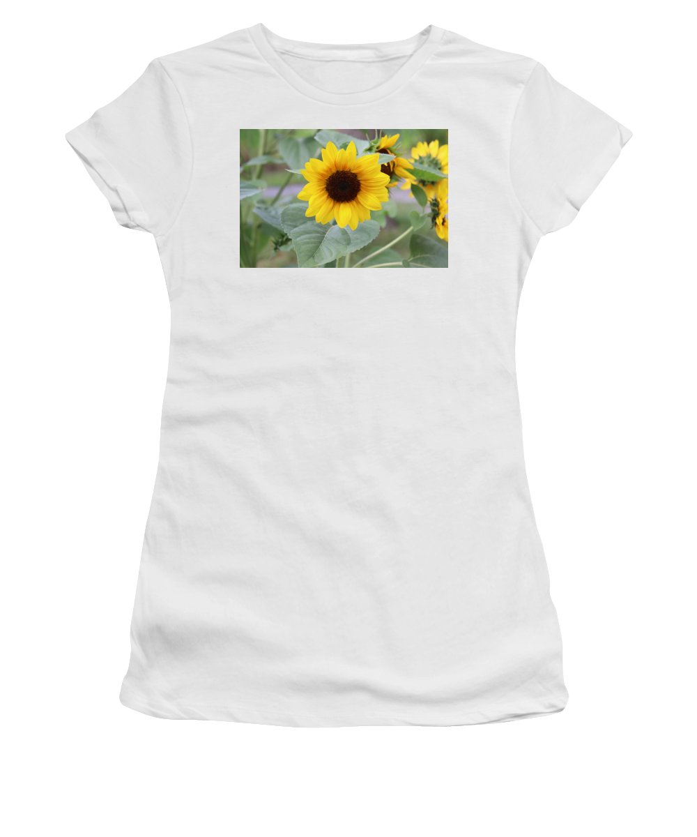 Sunflower Glory - Women's T-Shirt - Customizable