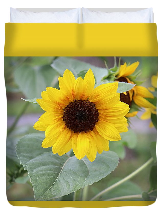 Sunflower Glory - Duvet Cover - Customizable