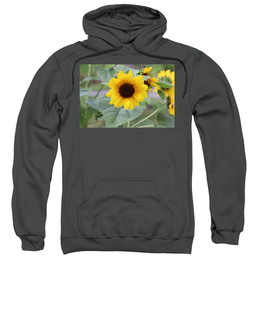 Sunflower Glory - Sweatshirt - Customizable