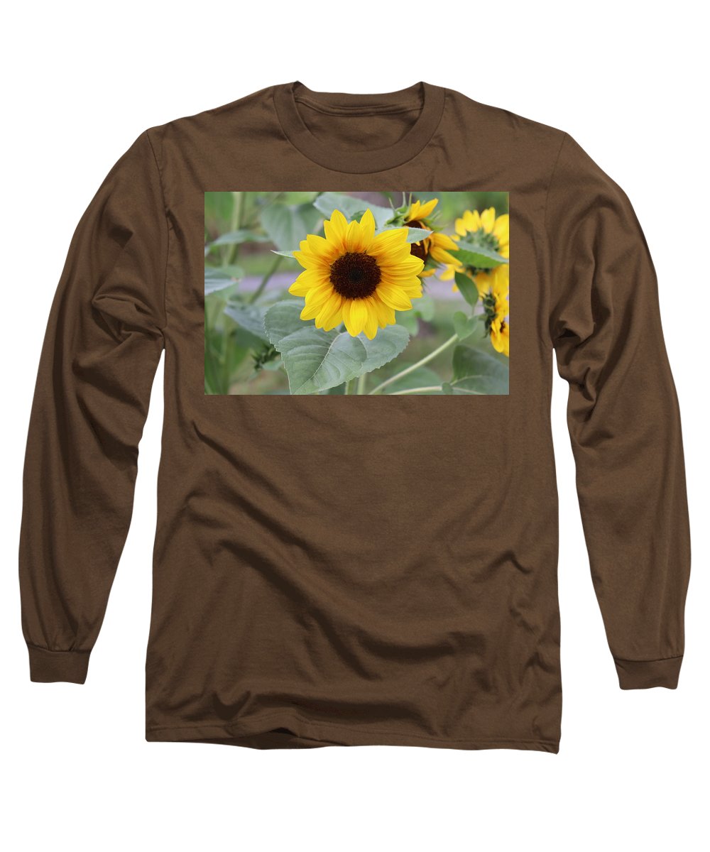 Sunflower Glory - Long Sleeve T-Shirt - Customizable