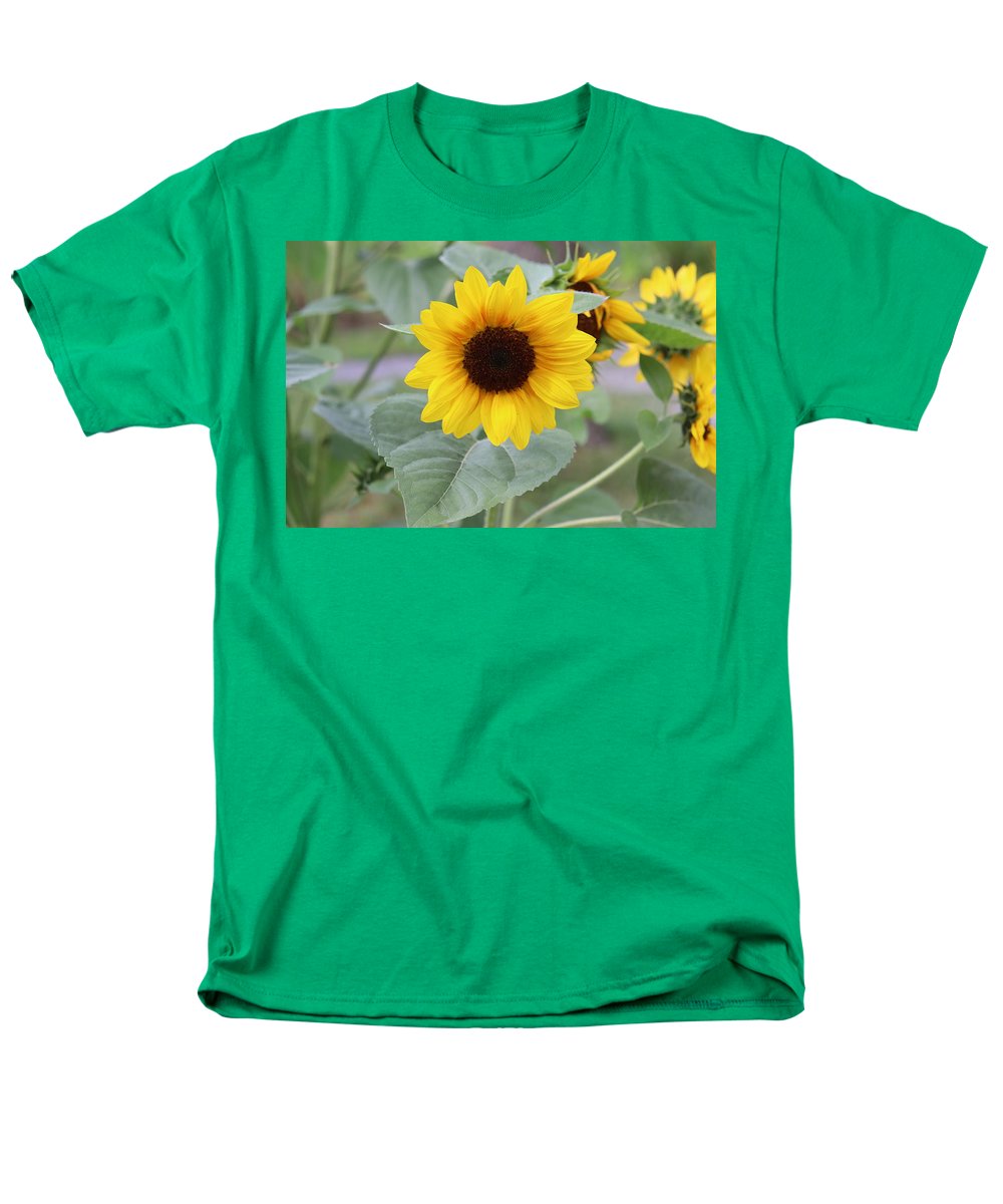 Sunflower Glory - Men's T-Shirt  (Regular Fit) - Customizable