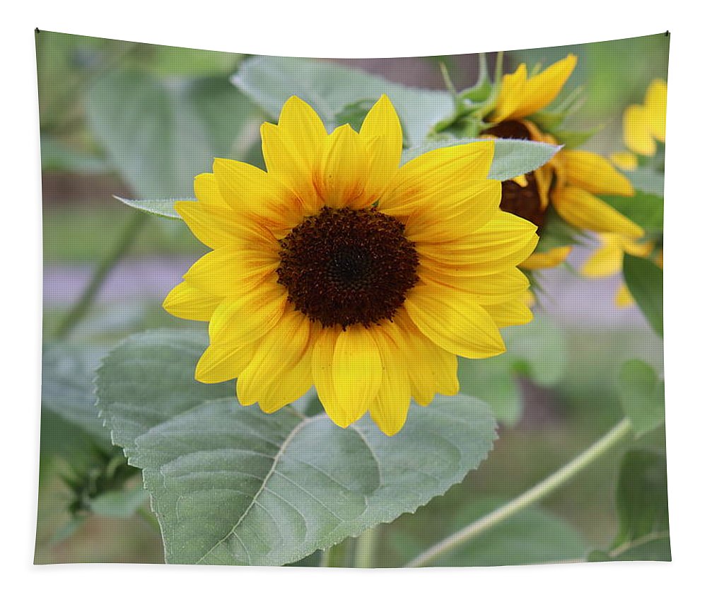 Sunflower Glory - Tapestry - Customizable