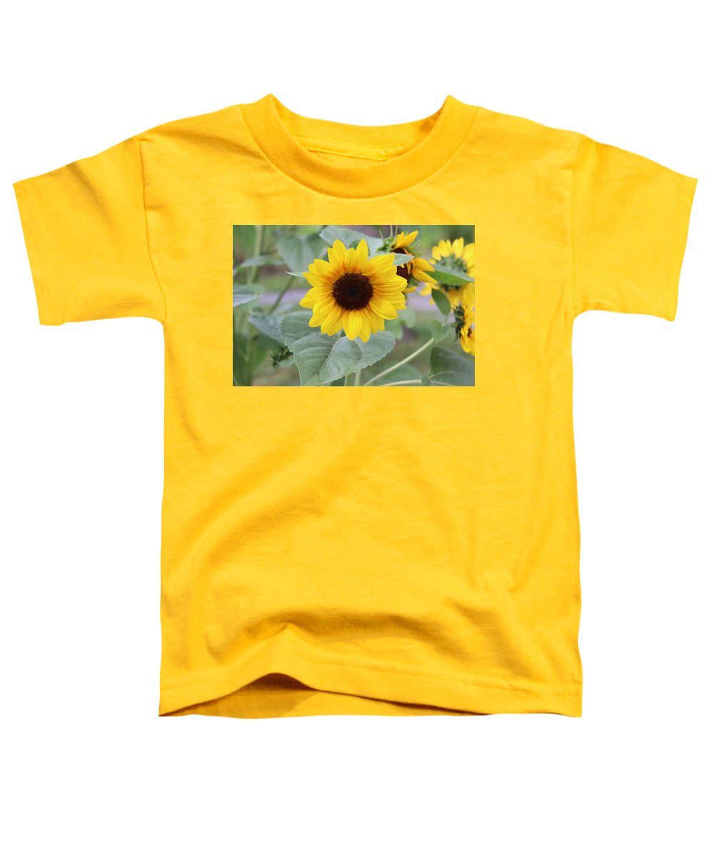 Sunflower Glory - Toddler T-Shirt - Customizable