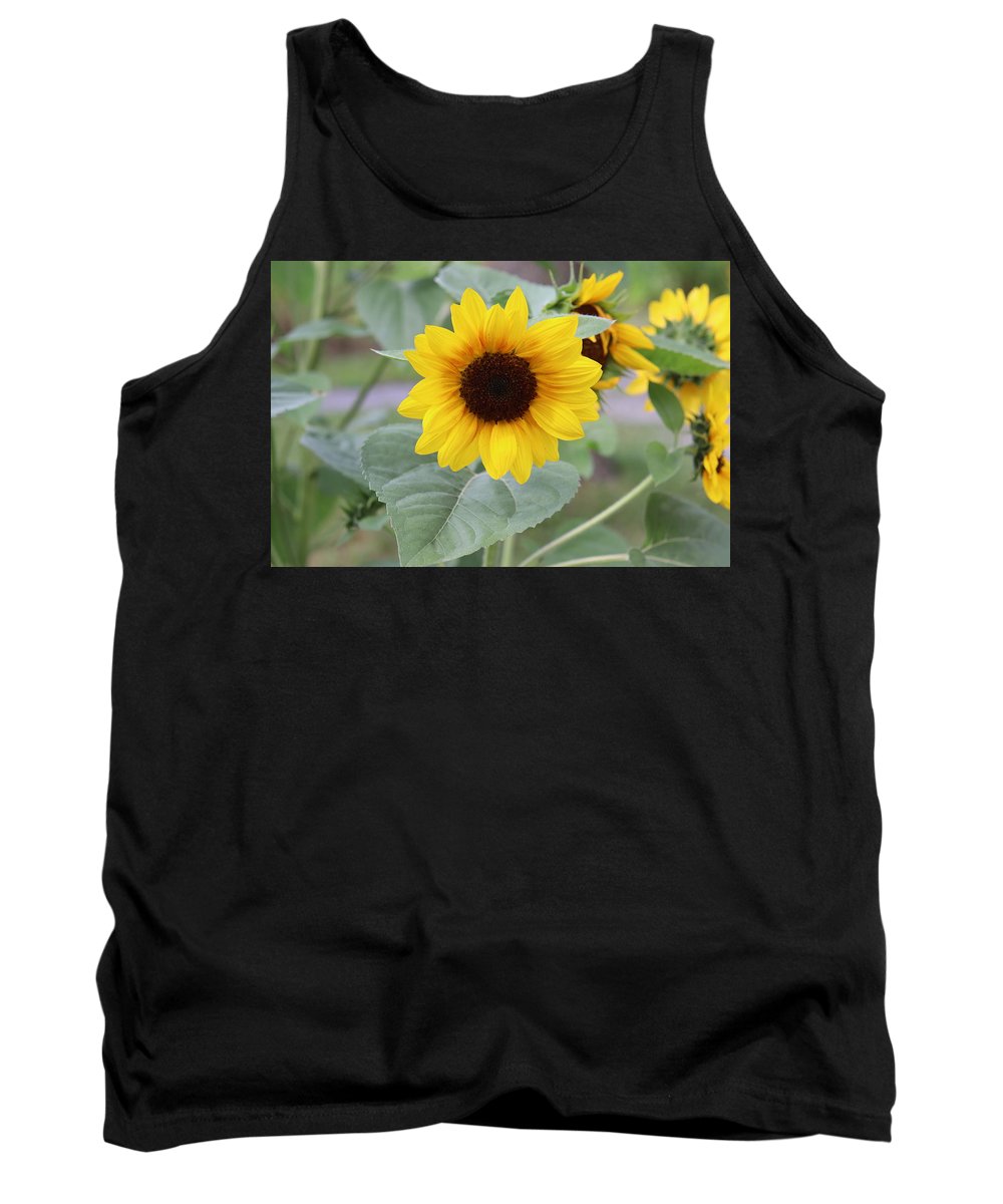 Sunflower Glory - Tank Top - Customizable