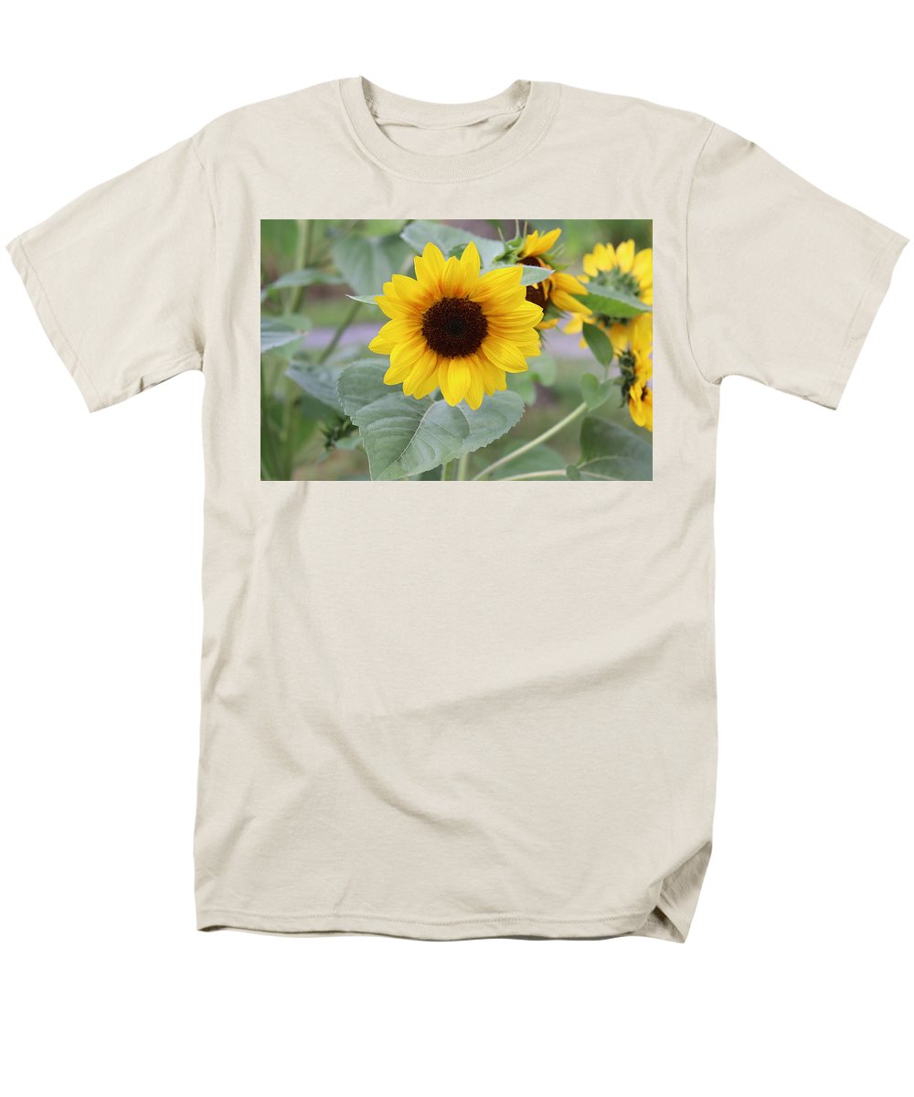 Sunflower Glory - Men's T-Shirt  (Regular Fit) - Customizable