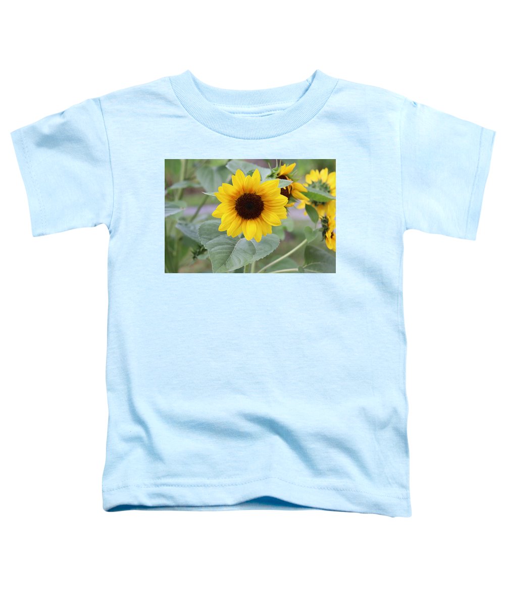 Sunflower Glory - Toddler T-Shirt - Customizable