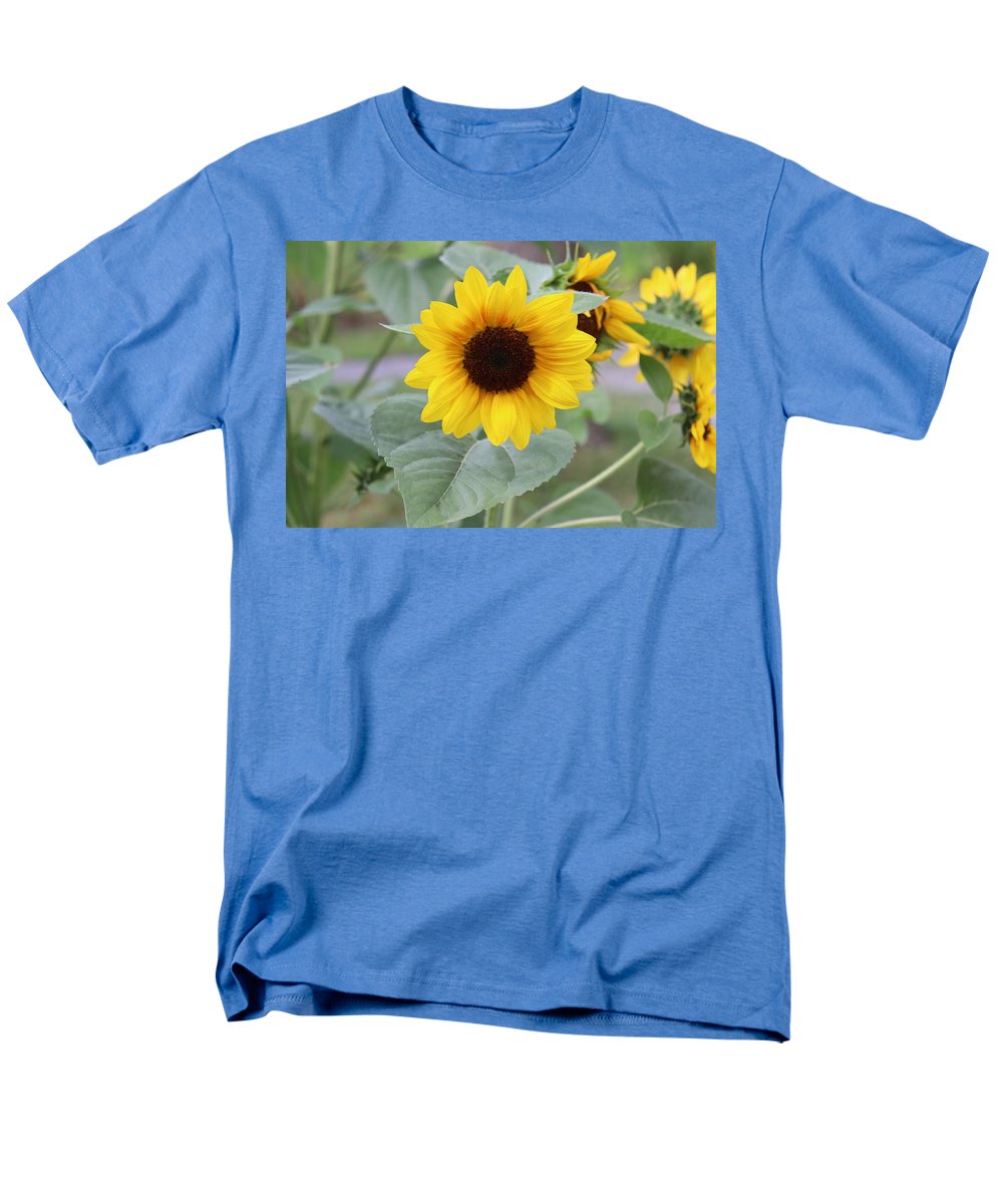 Sunflower Glory - Men's T-Shirt  (Regular Fit) - Customizable