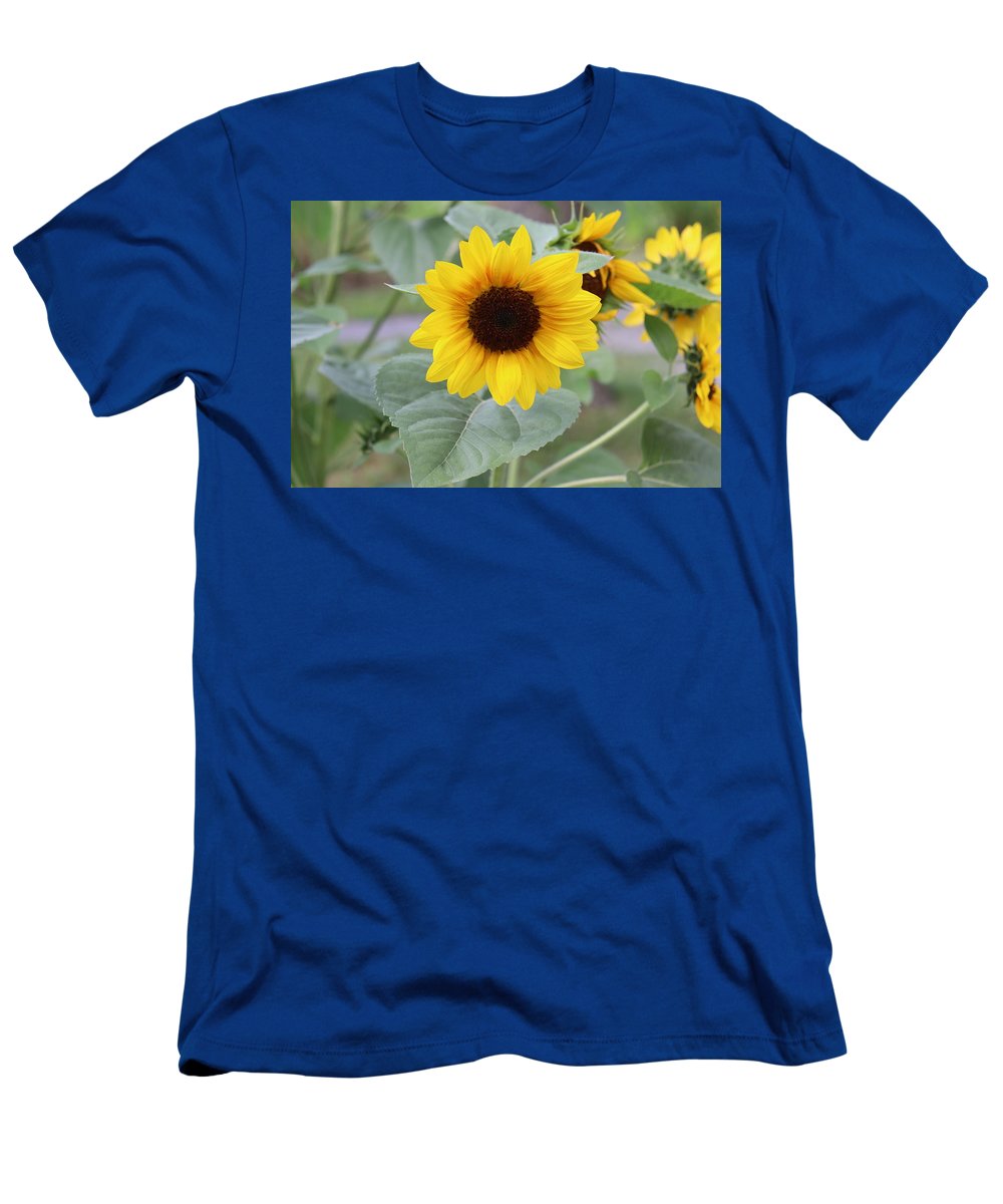 Sunflower Glory - T-Shirt - Customizable