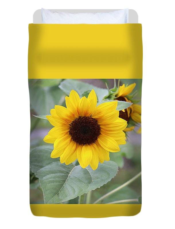 Sunflower Glory - Duvet Cover - Customizable