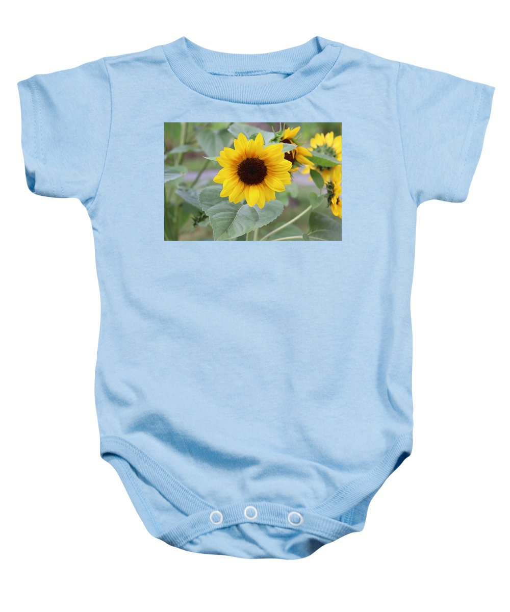 Sunflower Glory - Baby Onesie - Customizable