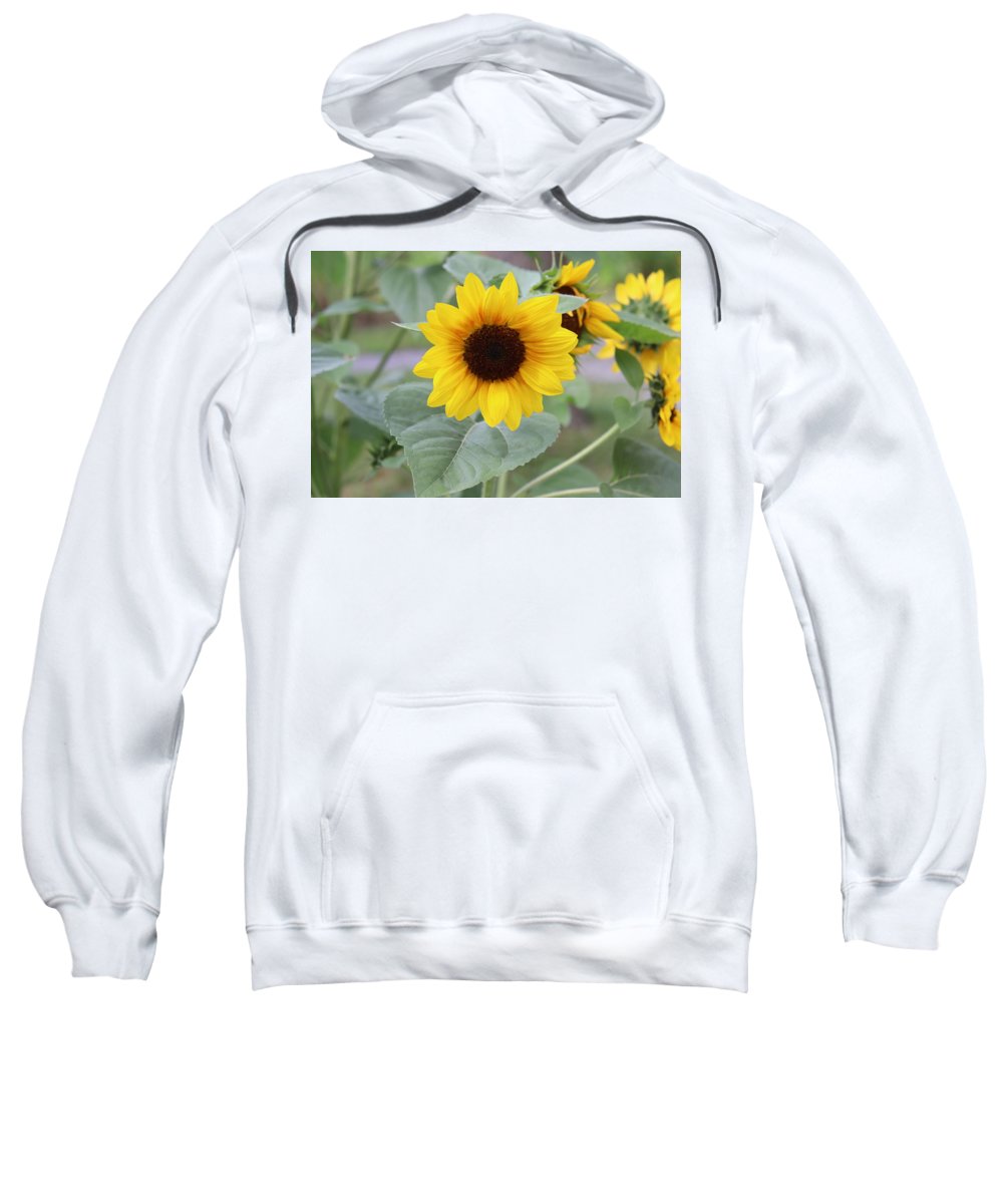 Sunflower Glory - Sweatshirt - Customizable