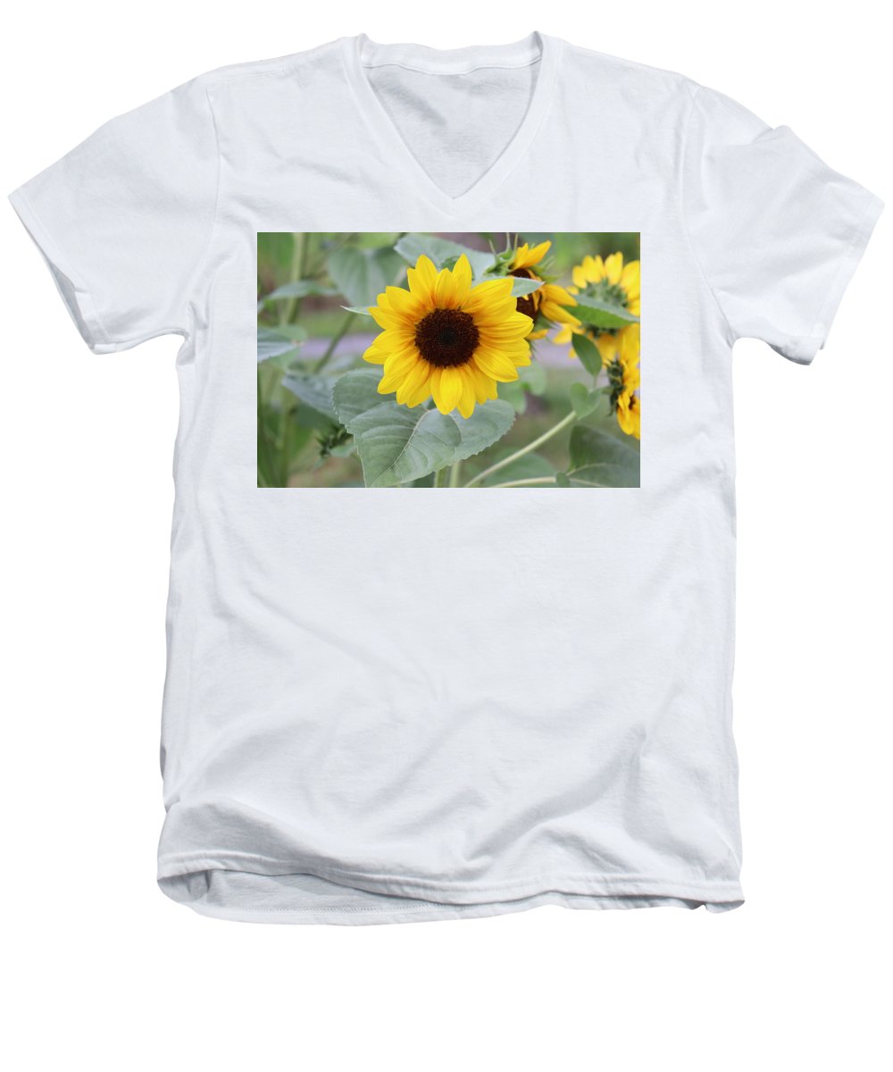 Sunflower Glory - Men's V-Neck T-Shirt - Customizable