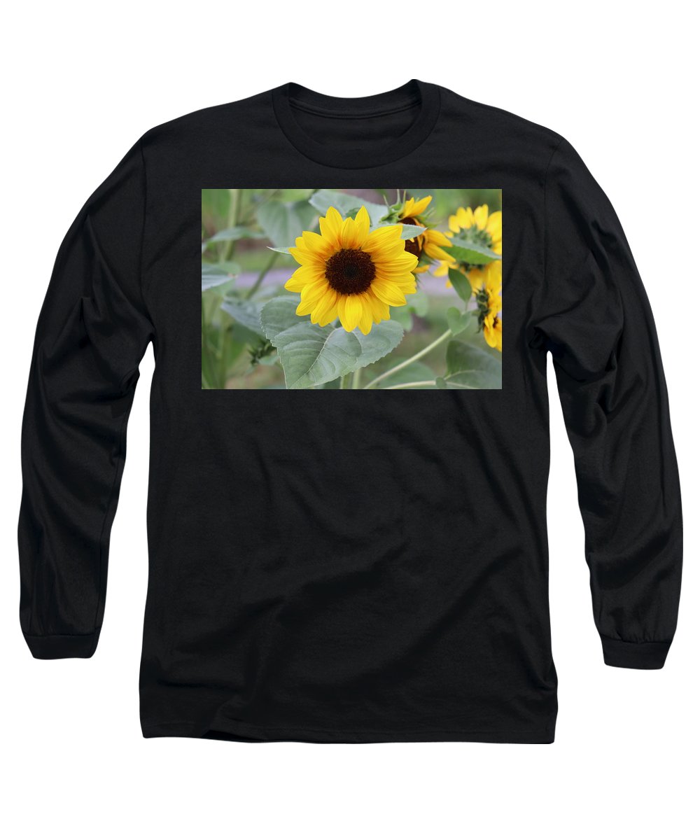 Sunflower Glory - Long Sleeve T-Shirt - Customizable