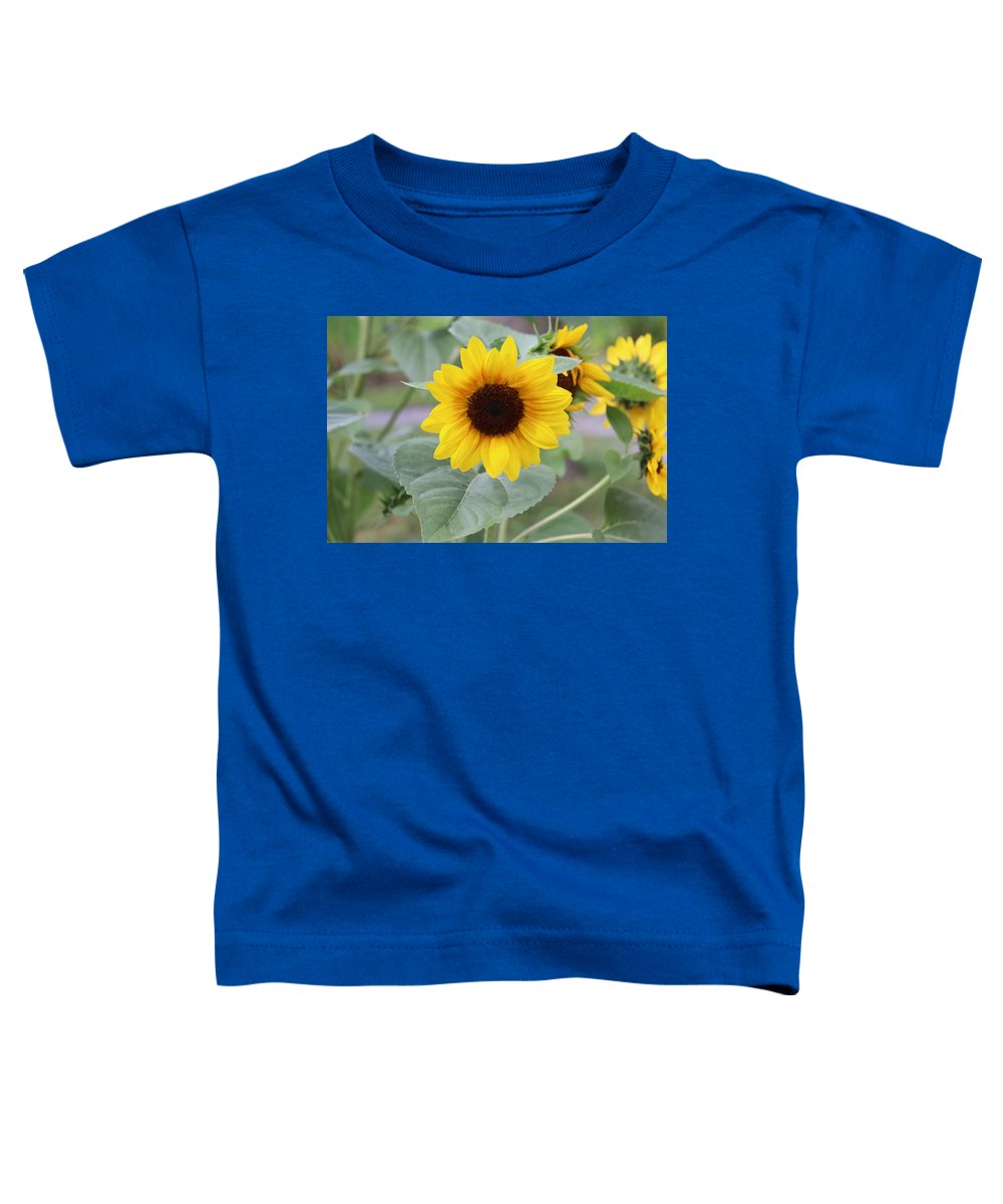 Sunflower Glory - Toddler T-Shirt - Customizable