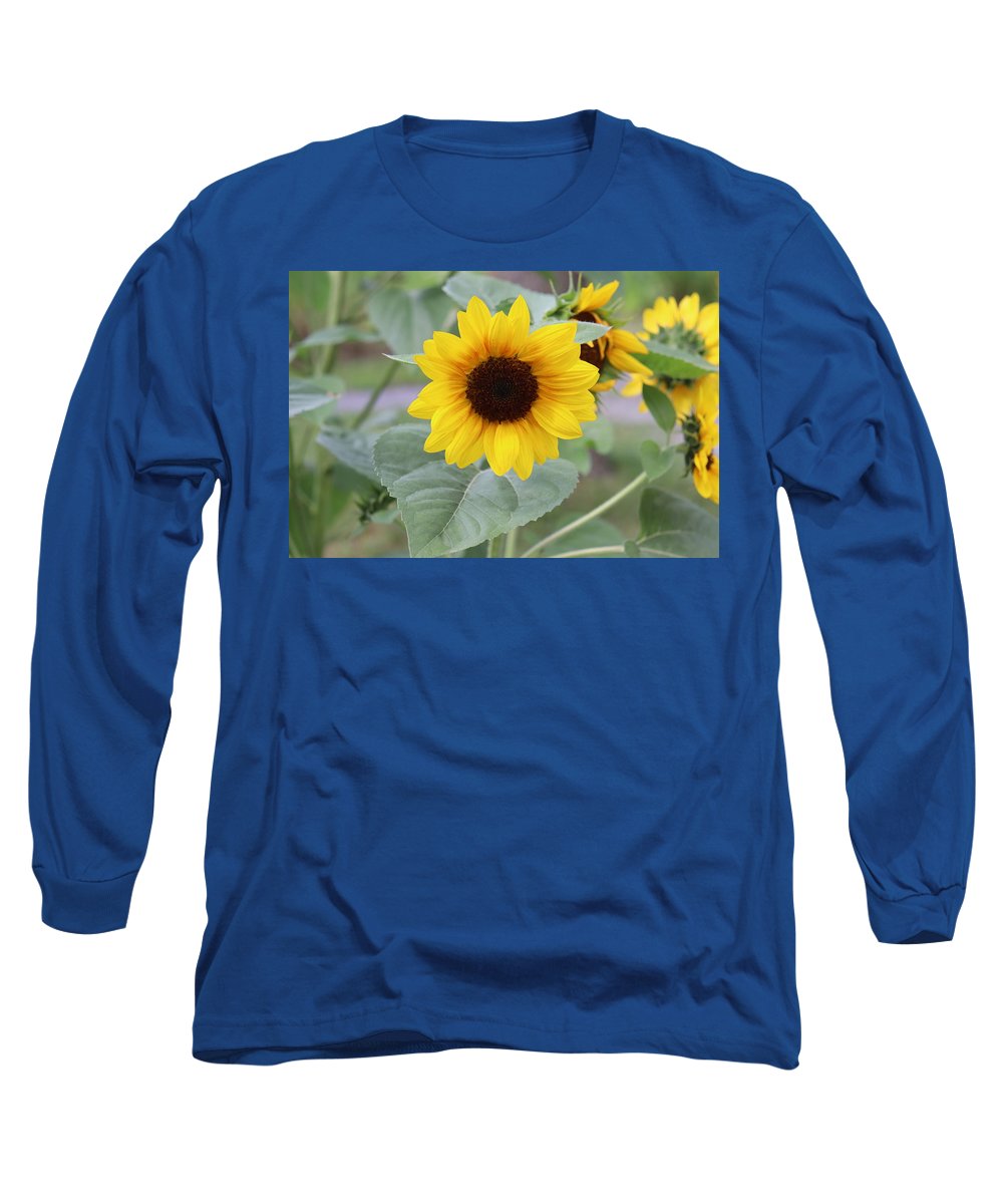 Sunflower Glory - Long Sleeve T-Shirt - Customizable