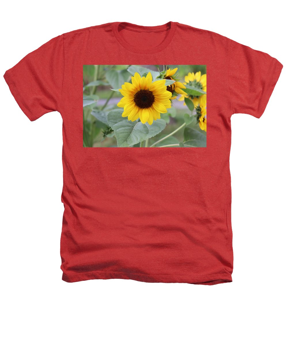 Sunflower Glory - Heathers T-Shirt - Customizable