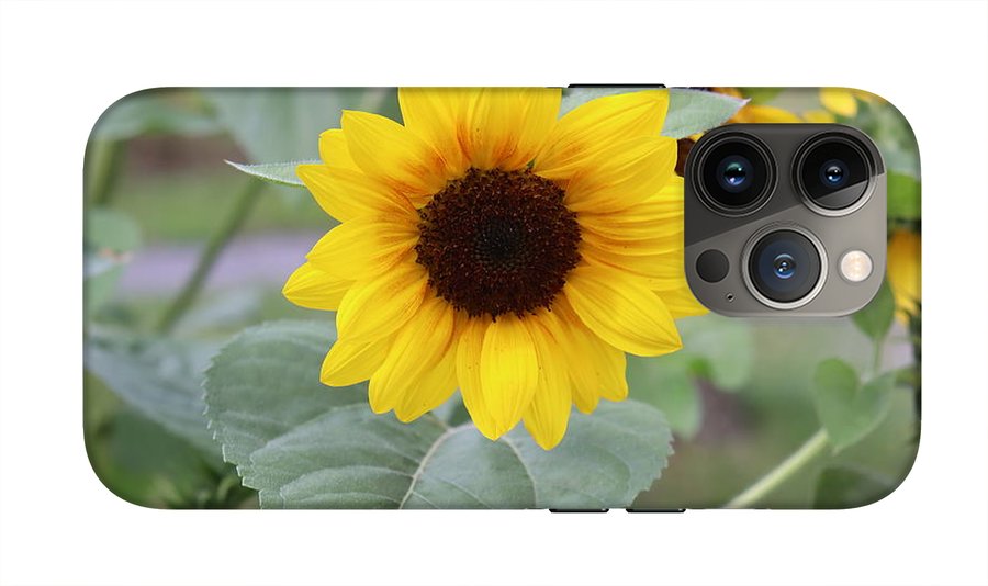 Sunflower Glory - Phone Case - Customizable