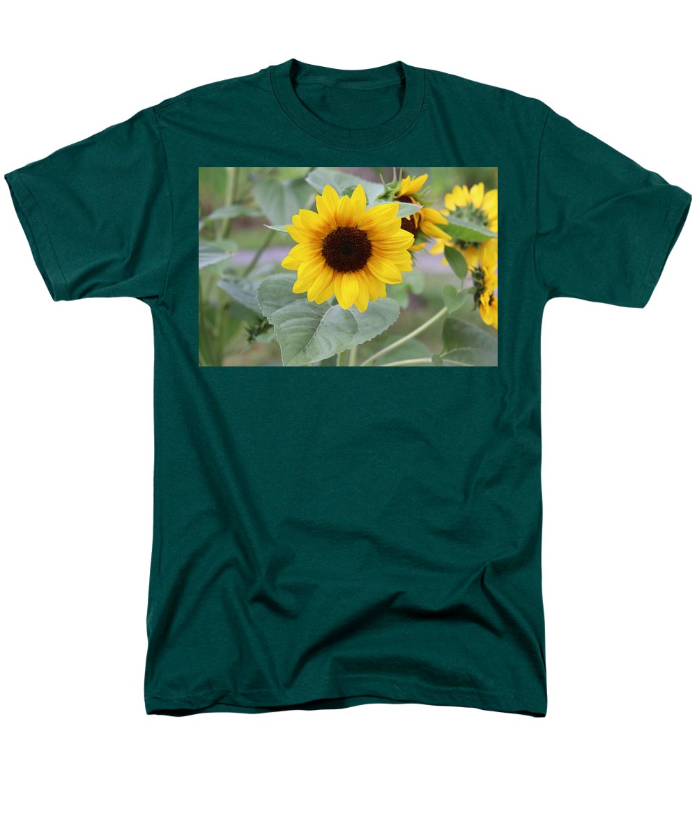 Sunflower Glory - Men's T-Shirt  (Regular Fit) - Customizable