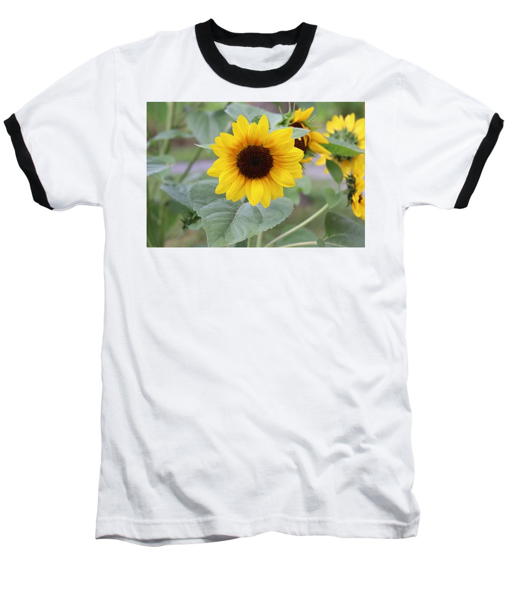 Sunflower Glory - Baseball T-Shirt - Customizable