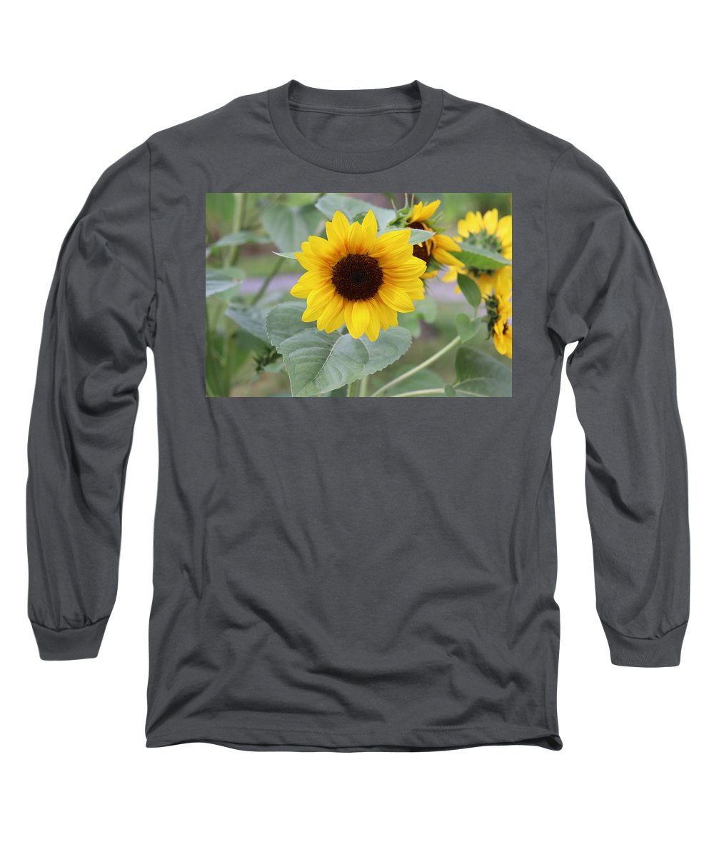 Sunflower Glory - Long Sleeve T-Shirt - Customizable