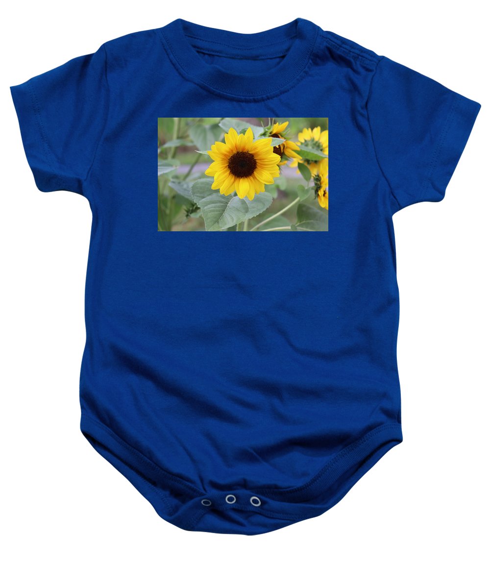 Sunflower Glory - Baby Onesie - Customizable