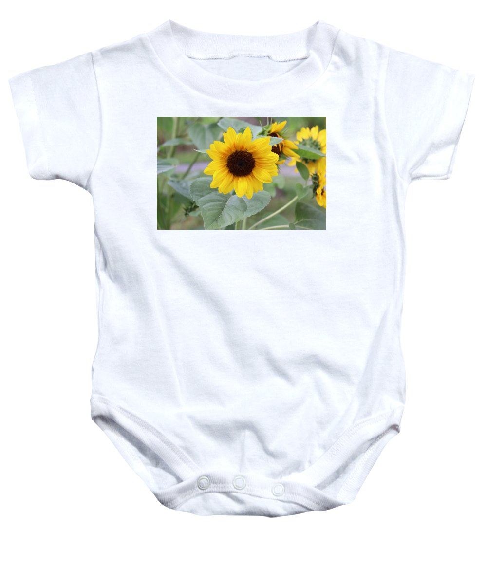 Sunflower Glory - Baby Onesie - Customizable