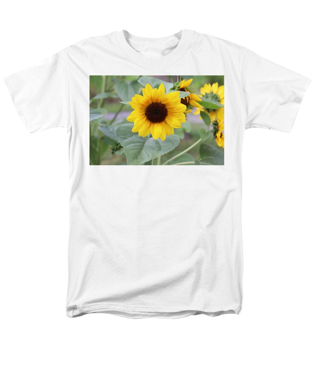 Sunflower Glory - Men's T-Shirt  (Regular Fit) - Customizable