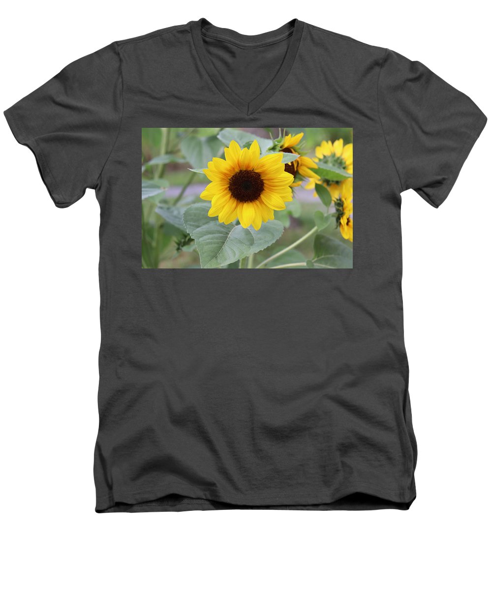 Sunflower Glory - Men's V-Neck T-Shirt - Customizable